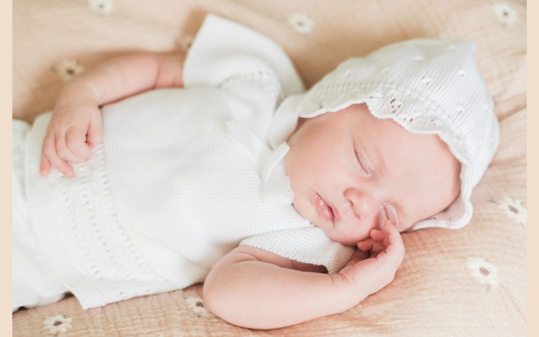 Newbornshoot Hellevoetsluis
